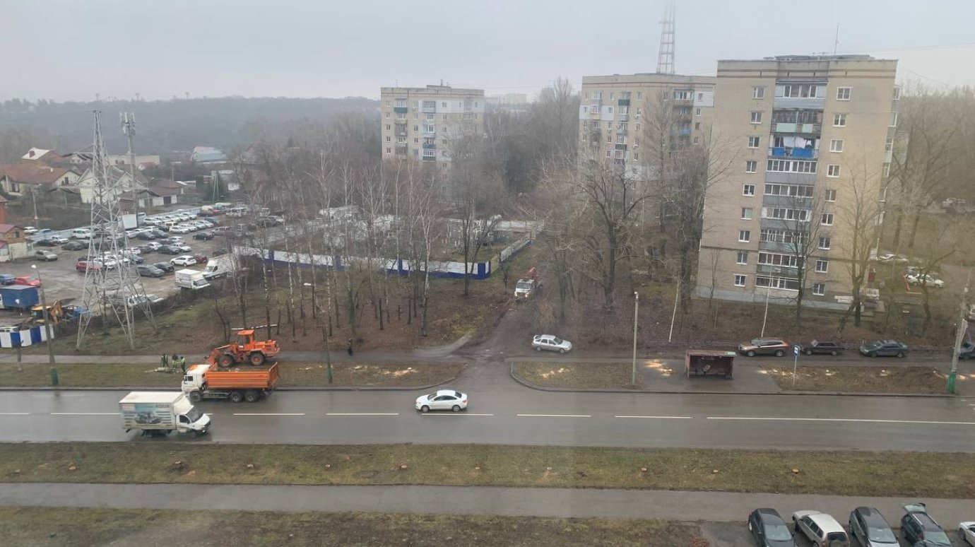 На улице Мира спилили больше десятка деревьев