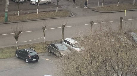 На улице Мира спилили больше десятка деревьев