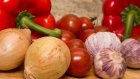 Россиянам назвали запрещенные к хранению в холодильнике продукты