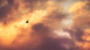 Ученые решили провести пугающую манипуляцию с Солнцем