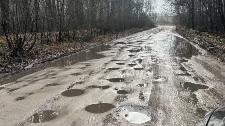 Из 2 поселков Бессоновского района невозможно добраться до М-5