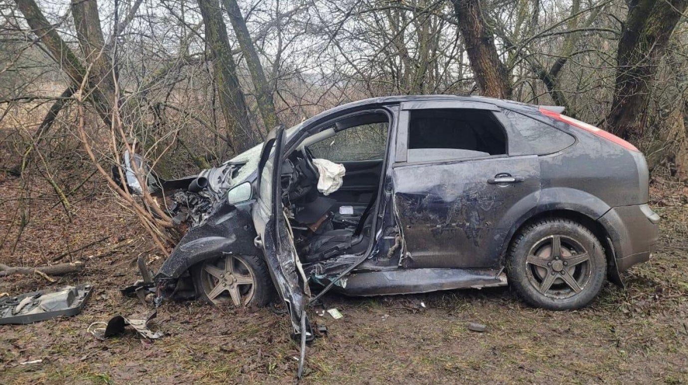 В Сердобском районе женщина на Ford Focus врезалась в дерево