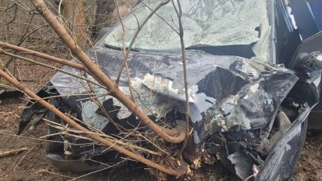 В Сердобском районе женщина на Ford Focus врезалась в дерево