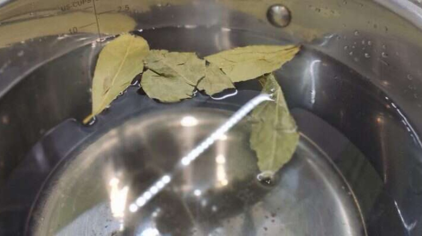 Обычный лавровый лист поможет в эффективно очистить ковры в квартире