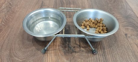 Стало известно, что нельзя давать кошке зимой