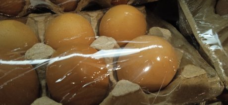 «Дедовский» метод поможет быстро определить свежесть яйца