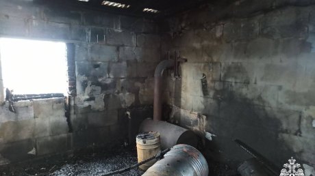 В Кузнецком районе огнем повредило крупную надворную постройку