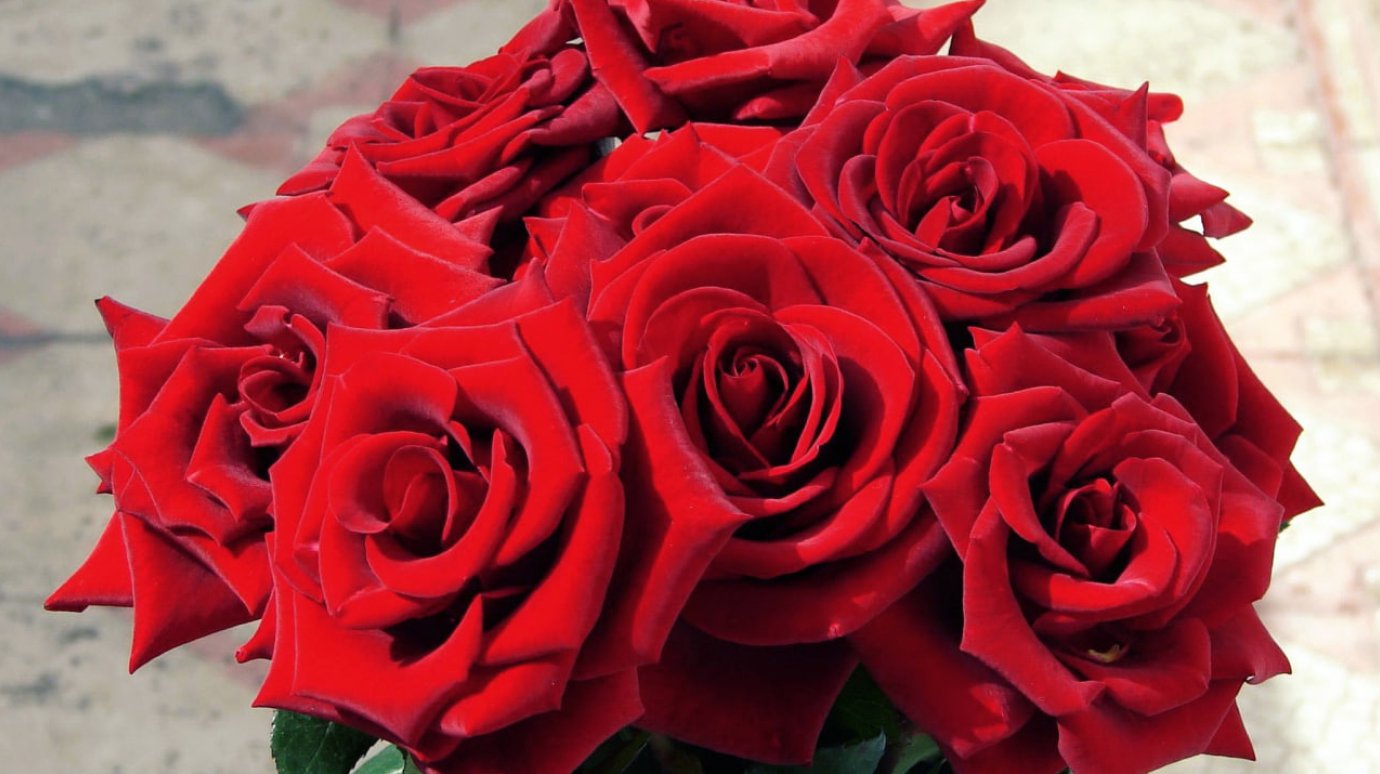 Перечислены частые ошибки при выборе букета на День матери