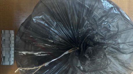 Пензенцу грозит до 10 лет тюрьмы за сорванное рядом с городом растение