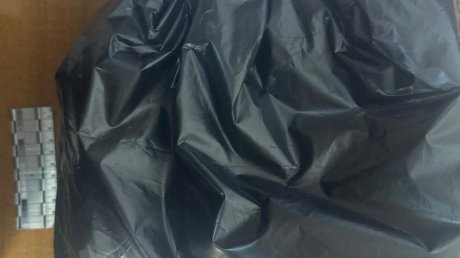 Пензенцу грозит до 10 лет тюрьмы за сорванное рядом с городом растение