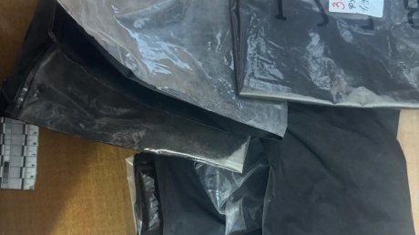 Пензенцу грозит до 10 лет тюрьмы за сорванное рядом с городом растение