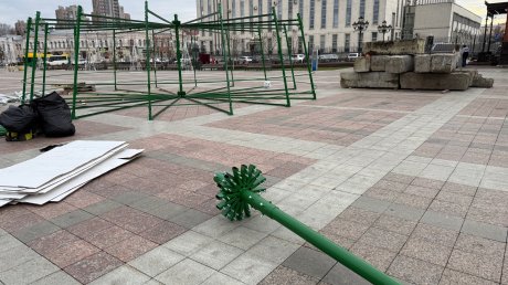 На площади Ленина в Пензе начали собирать новую елку