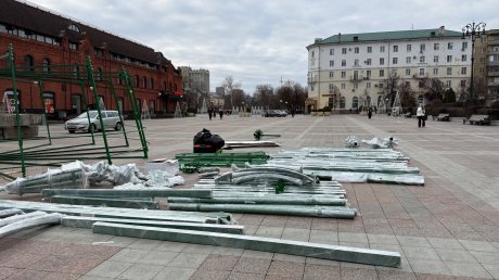 На площади Ленина в Пензе начали собирать новую елку