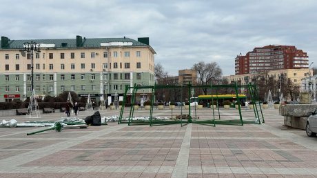 На площади Ленина в Пензе начали собирать новую елку