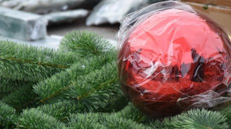 Стало известно, когда зажгутся огни на главной елке Пензы