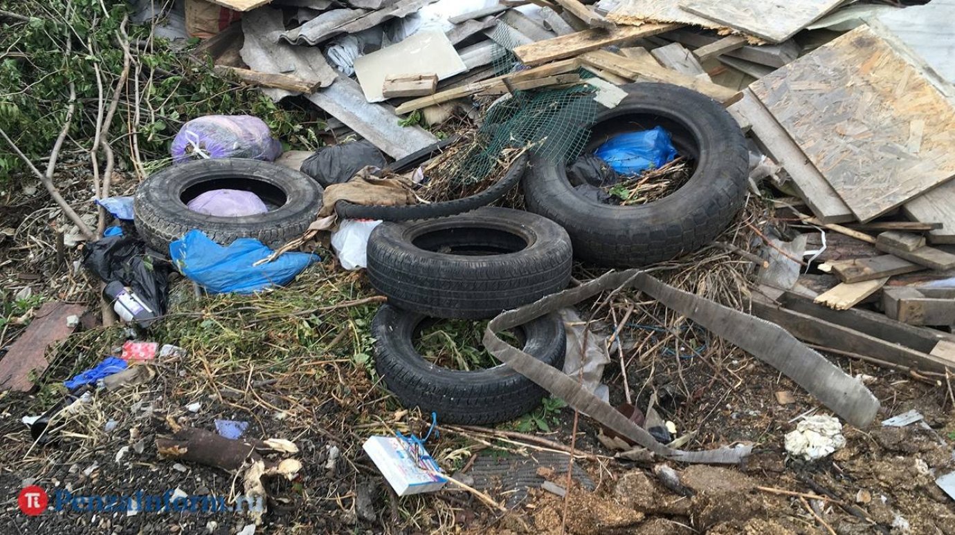 Названы телефоны, по которым можно сообщить о стихийной свалке в лесу