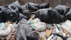 В Ахунах избавились от стихийной свалки в лесу