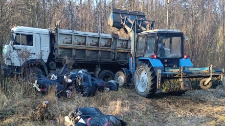 В Ахунах избавились от стихийной свалки в лесу