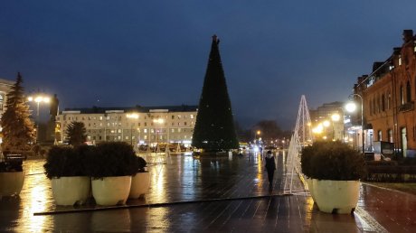 В Пензе закончили собирать елку на площади Ленина
