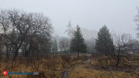 Последний день осени в Пензенской области будет тихим и теплым