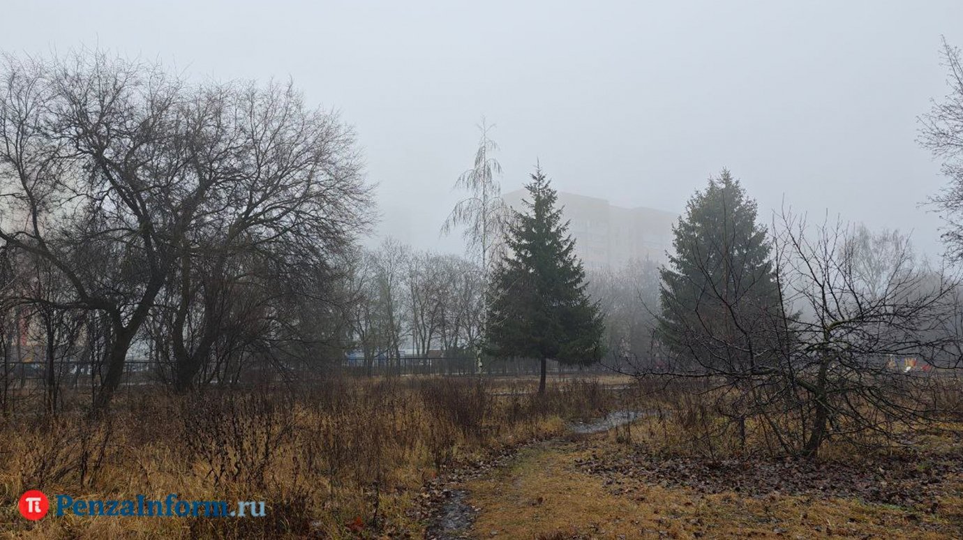 Последний день осени в Пензенской области будет тихим и теплым