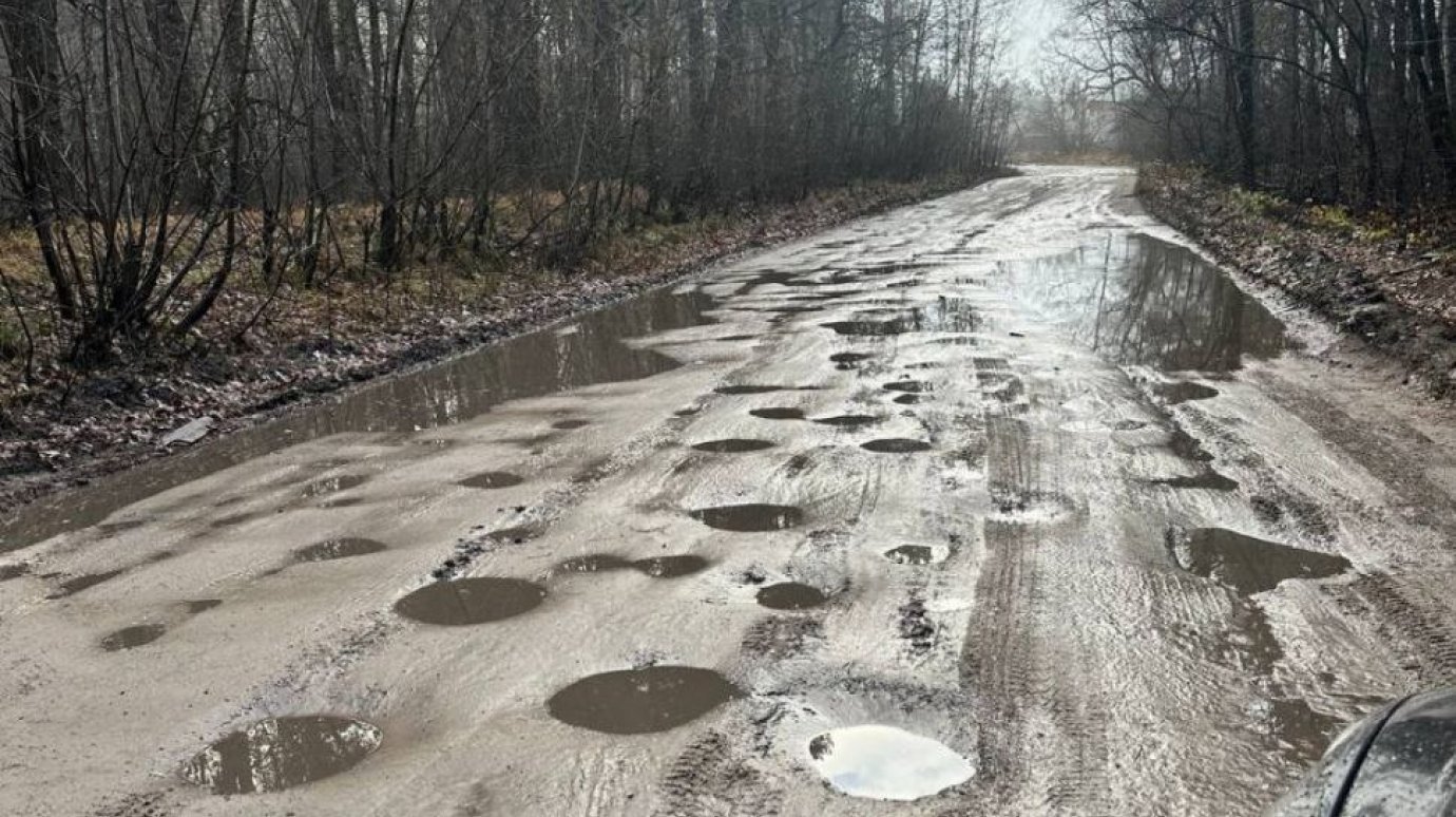 Проблема с дорогой в Бессоновском районе привлекла внимание СКР