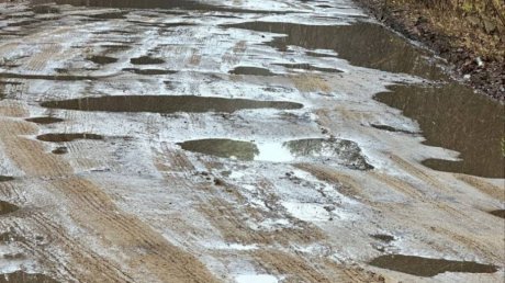 Проблема с дорогой в Бессоновском районе привлекла внимание СКР