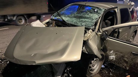 В ДТП под Нижним Ломовом погибли три человека