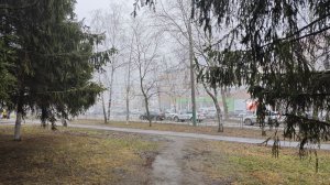 В Пензенской области ожидаются небольшие осадки