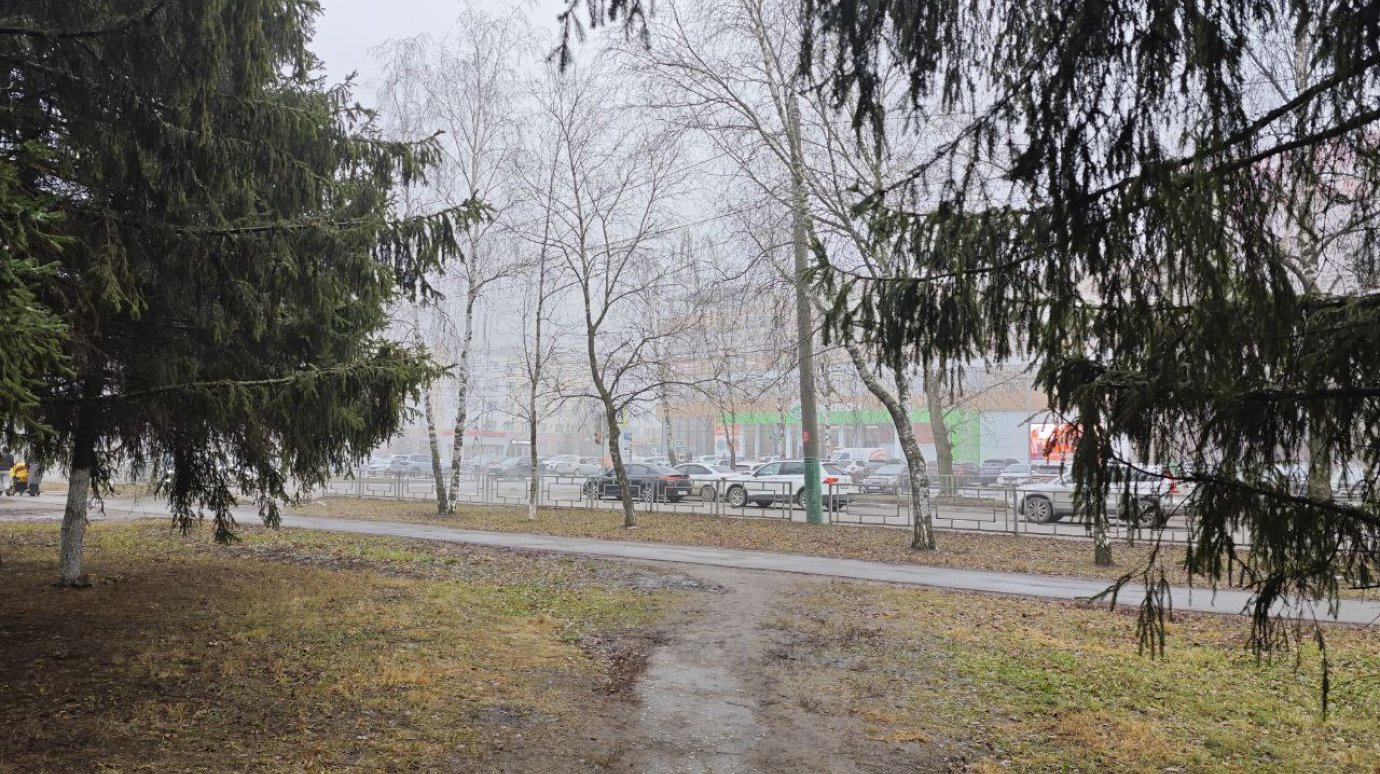 В Пензенской области ожидаются небольшие осадки