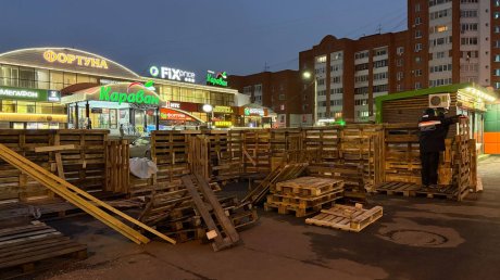 В Пензе началась подготовка к открытию елочных базаров