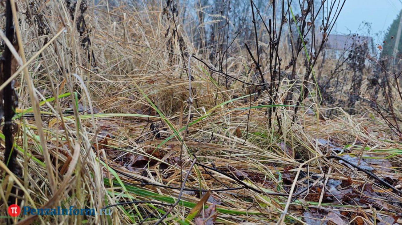 Стало известно об угрожающей россиянам погодной опасности