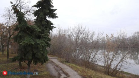 Пензенские синоптики дали прогноз погоды на 8 декабря