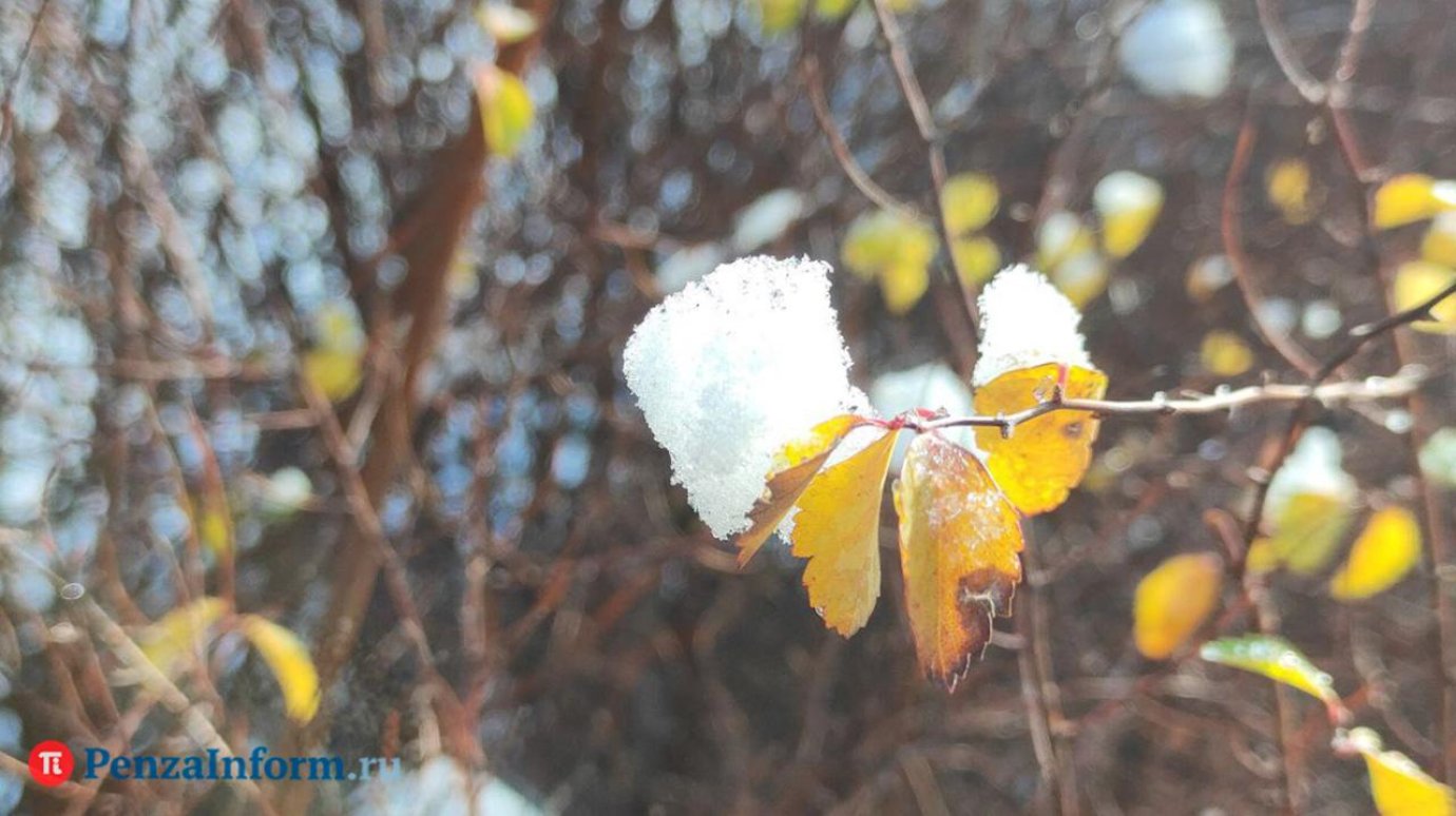 Метеорологи дали прогноз погоды в регионе на 9 декабря