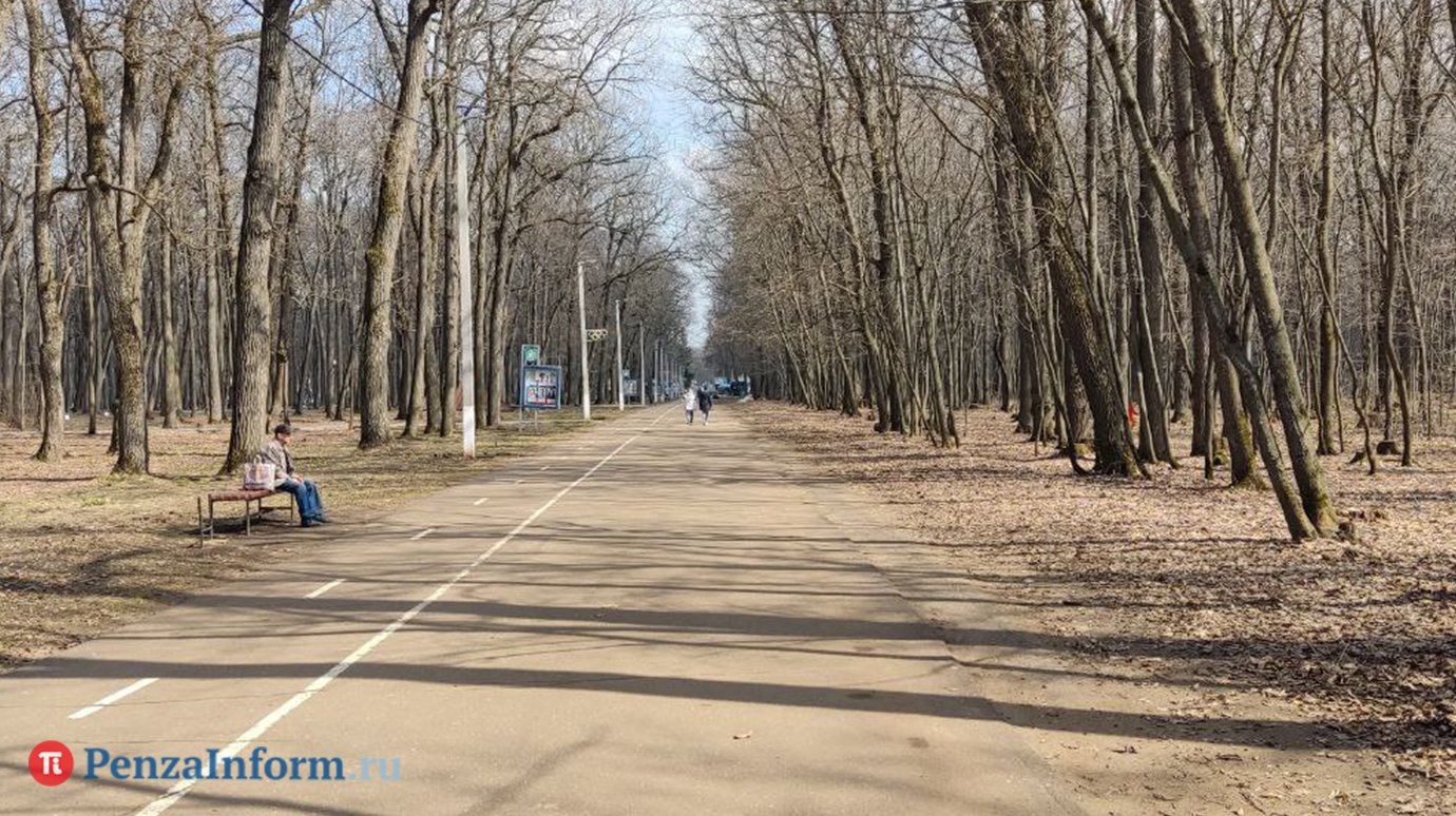 Глава Пензы поручил убрать кормушки из пластиковых бутылок