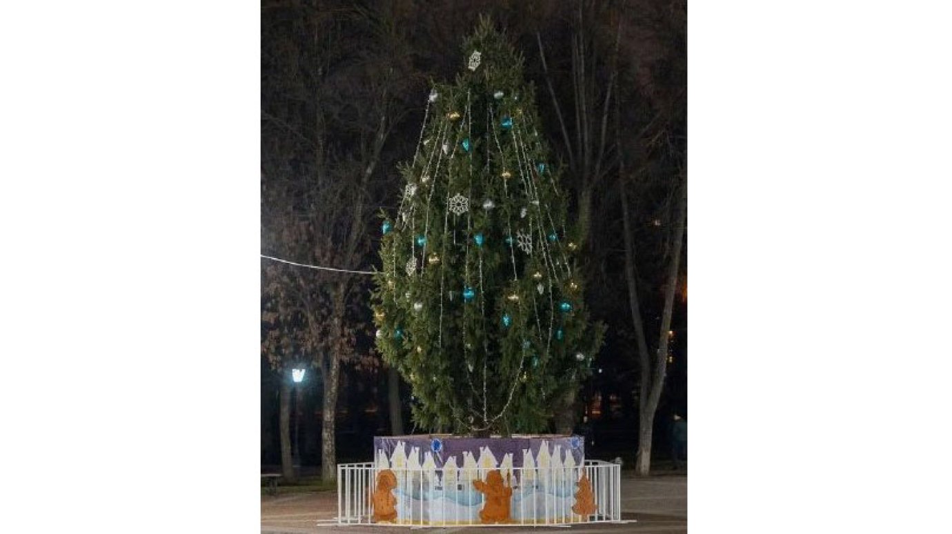 На Соборной площади в Пензе установили живую елку