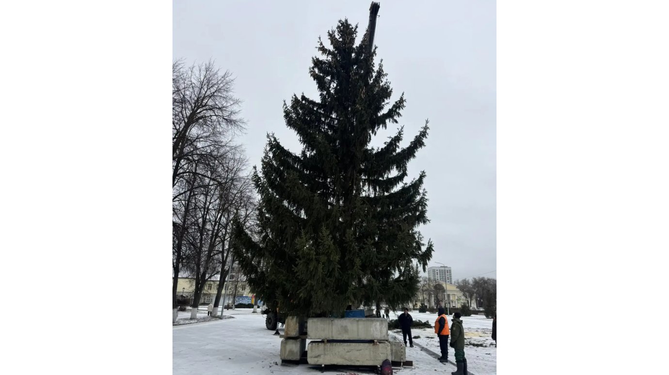 На главной площади Кузнецка установили елку