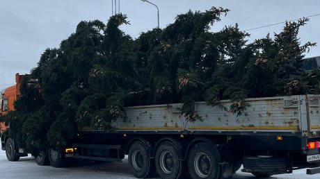 На главной площади Кузнецка установили елку