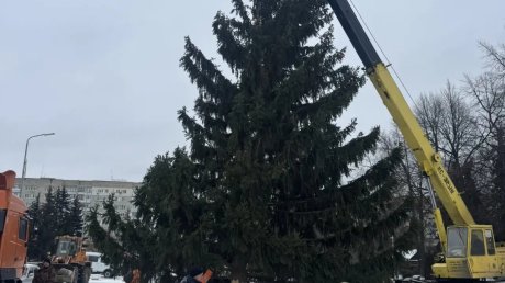 На главной площади Кузнецка установили елку