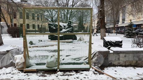 На улице Кирова в Пензе появится новая скульптура