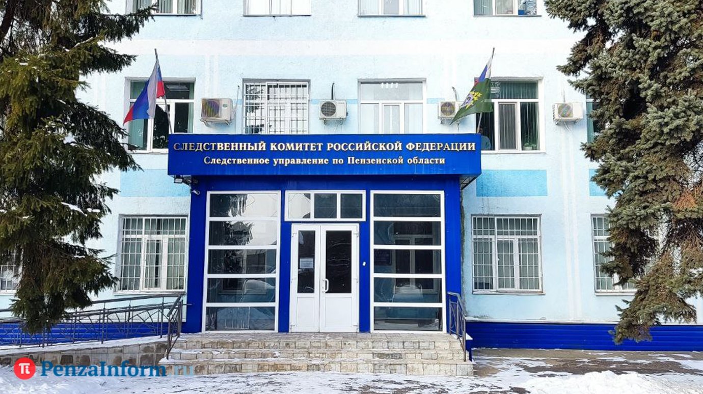 По факту нападения собак на девочку в Кузнецке возбудят уголовное дело