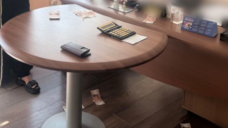 Вера Фейгина рассказала, на что планировала потратить взятку