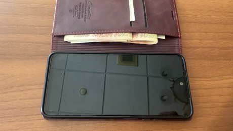 Вера Фейгина рассказала, на что планировала потратить взятку