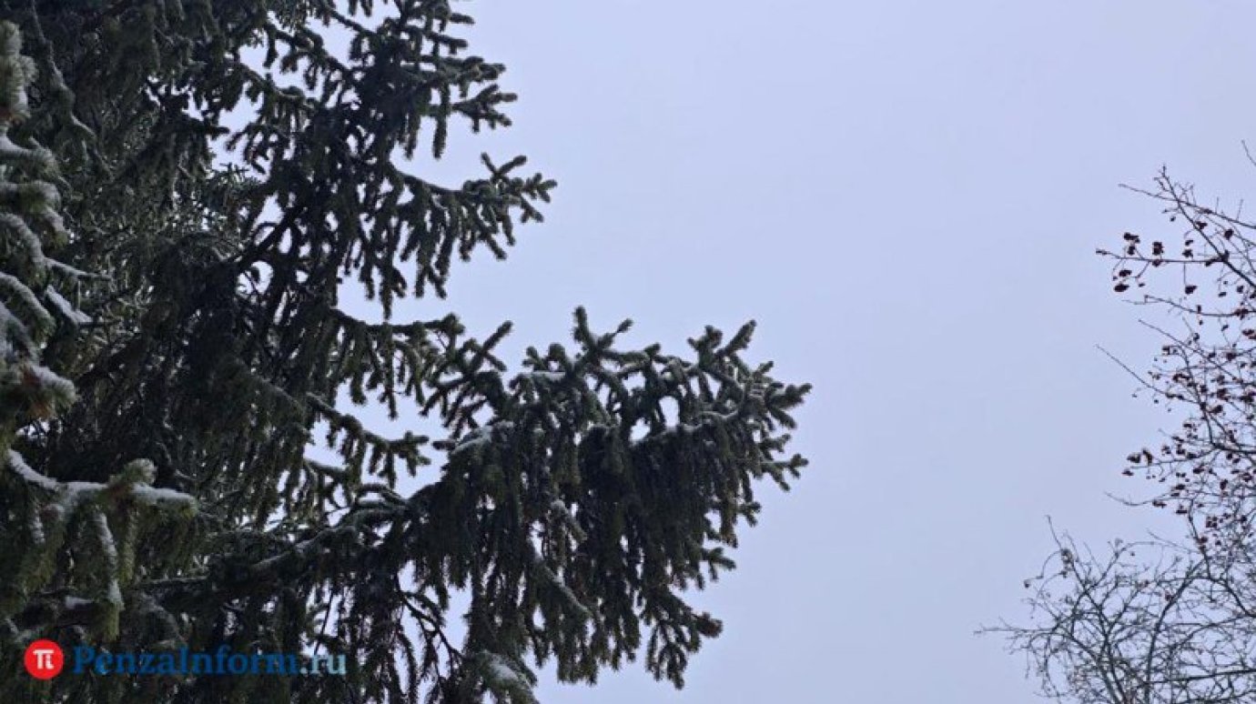 На Земле прогнозируется слабая магнитная буря