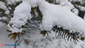 Праздник с плюсом. Подробный прогноз погоды на Новый год в Пензе