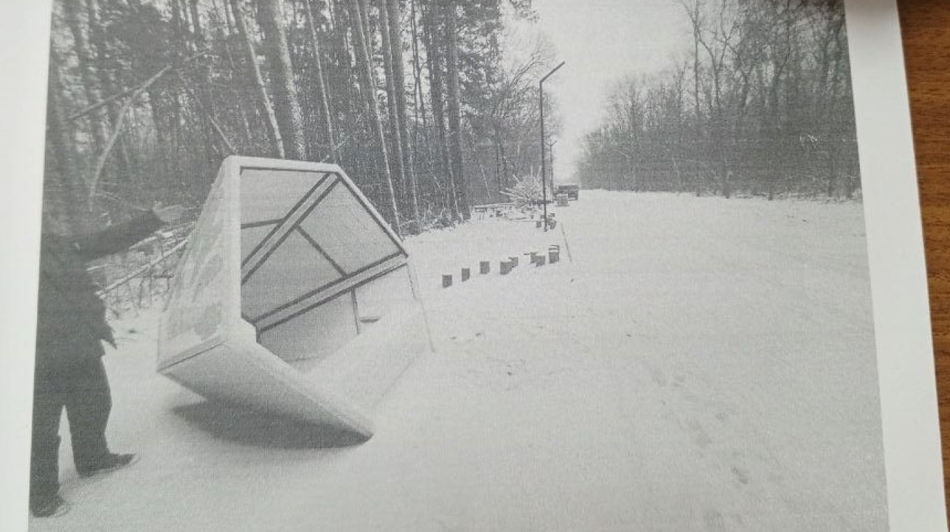 Пнул «Ежика»: двоих сердобчан наказали за порчу арт-объектов