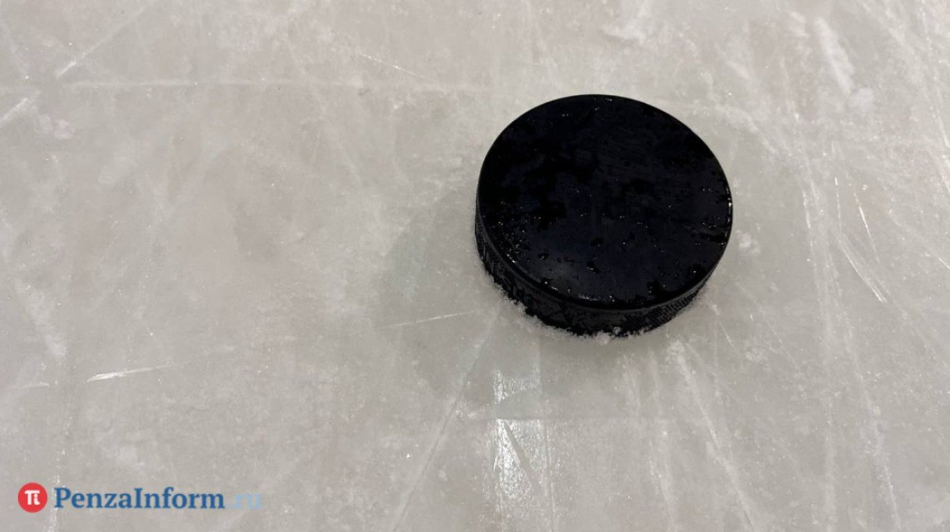 «Дизель» победил в последнем домашнем матче календарного года