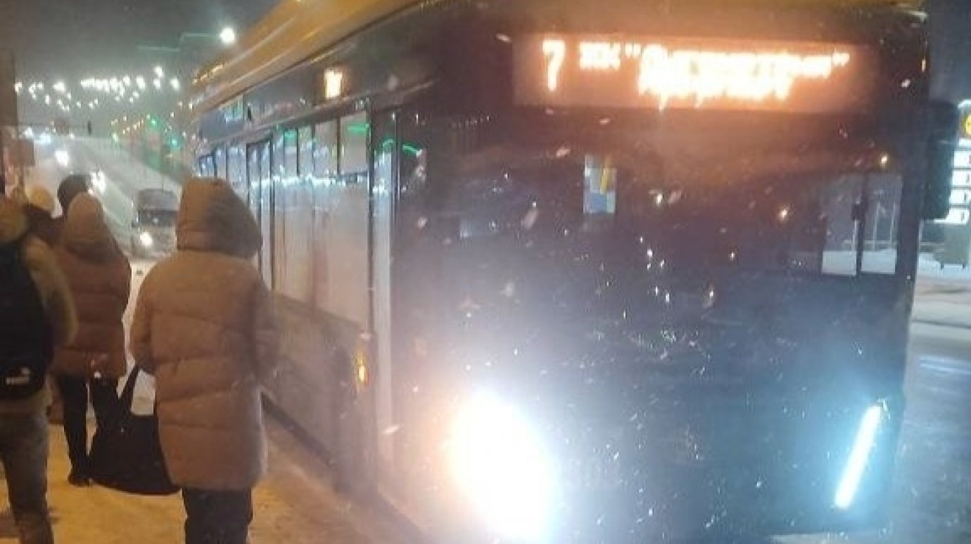 Пензенских перевозчиков наказали за антисанитарию на транспорте