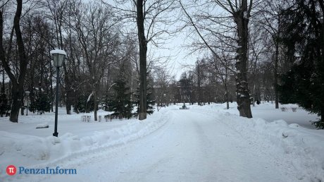 В горэлектросети прояснили вопрос с освещением в сквере Лермонтова