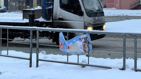 Реклама выставки в Пензе испортила облик города